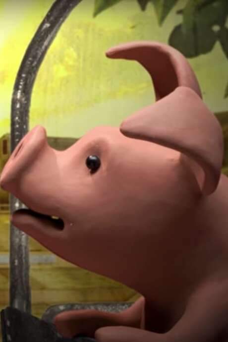 A Pig’s Tail